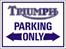 Triumph Trident T160
