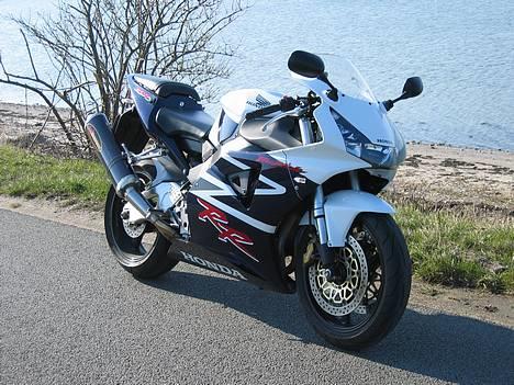 Honda CBR 900 RR FireBlade - Her står jeg og nyder udsigten billede 1