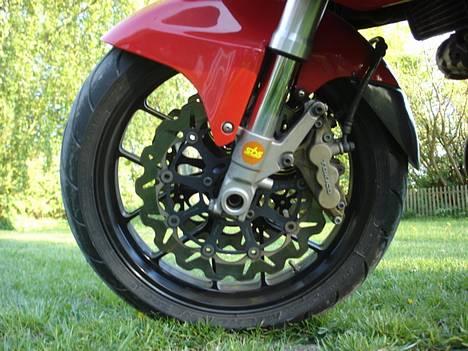 Suzuki TL 1000 S  - letvægtsfælge . wave skiver 320 mm og et sæt 6 stemplede kalibre til at bringe den til standsning . billede 2