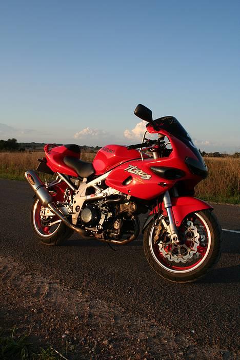 Suzuki TL 1000 S  - solnedgang over det danske land . billede 4