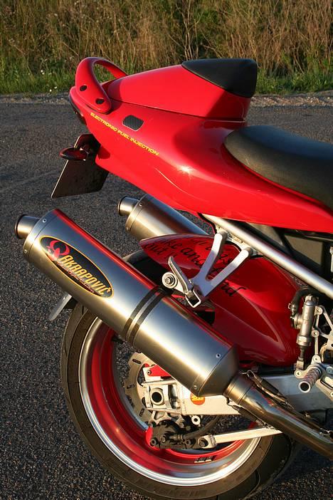 Suzuki TL 1000 S  - jeg er vild med bagdelen på en tls . billede 5