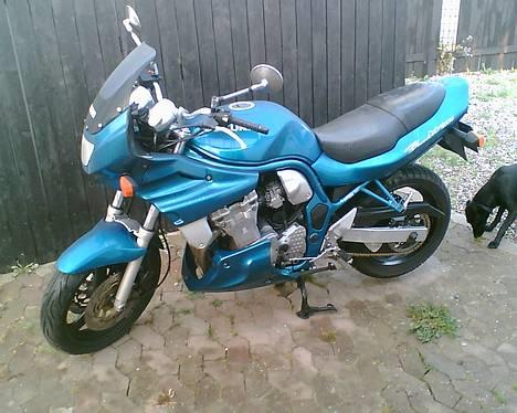 Suzuki gsf600 Bandit billede 1