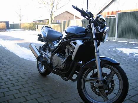 Kawasaki ER-5 ***SOLGT*** billede 10