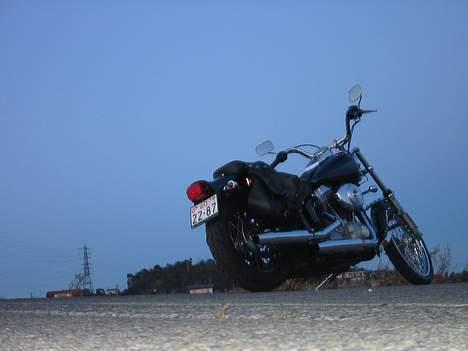 Harley Davidson FXST - Tusmørke billede 1