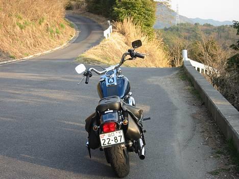 Harley Davidson FXST - Anderledes vinkel billede 3