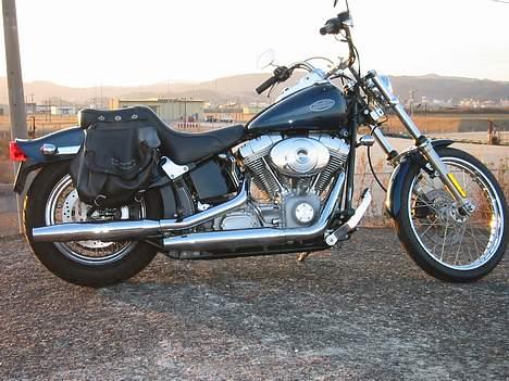 Harley Davidson FXST billede 5