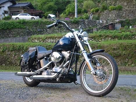 Harley Davidson FXST - Fed "mountain bike "! billede 6