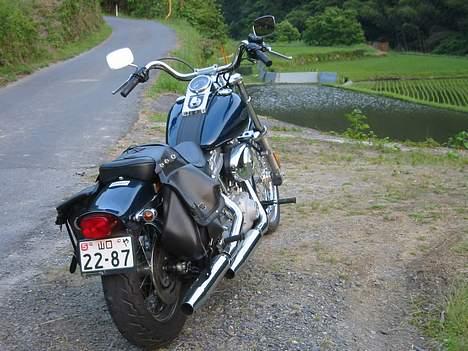 Harley Davidson FXST - Skråt bagfra plus lidt rismarker billede 8