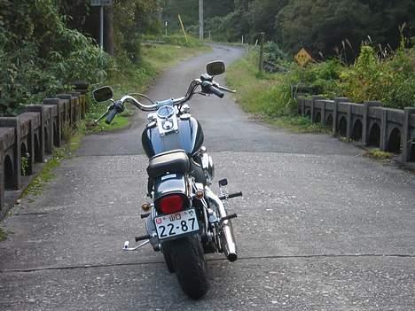 Harley Davidson FXST - Pæn bro ! billede 13