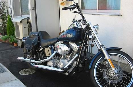 Harley Davidson FXST billede 14