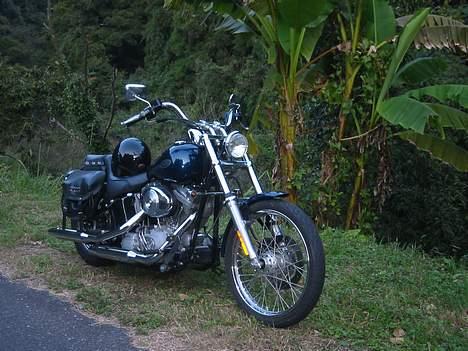 Harley Davidson FXST - Flere bananer.... billede 16