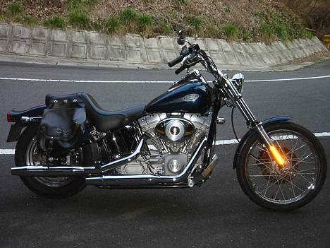 Harley Davidson FXST - solnedgang 1 billede 17