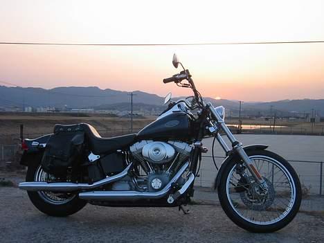 Harley Davidson FXST - Solnedgang 2 billede 18