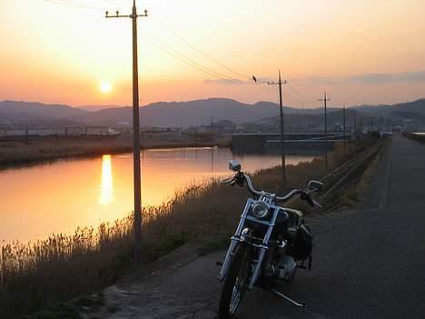Harley Davidson FXST - Nyd bare solnedgangen og ørnen,men overse ikke Harleyen !;-) billede 19