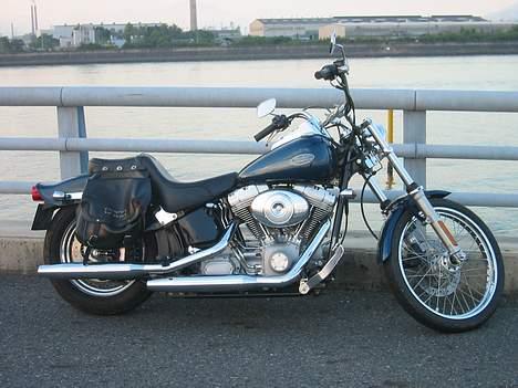 Harley Davidson FXST billede 20