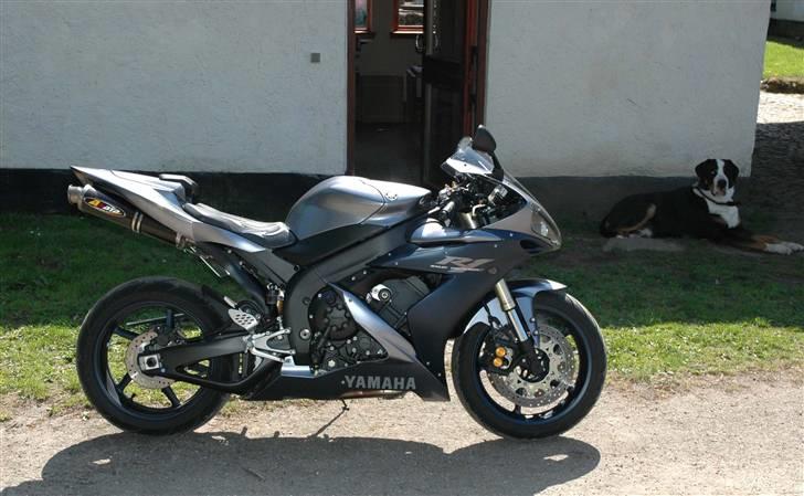 Yamaha R1 - bike no. 2 + 70 kg Bamse dyr billede 1