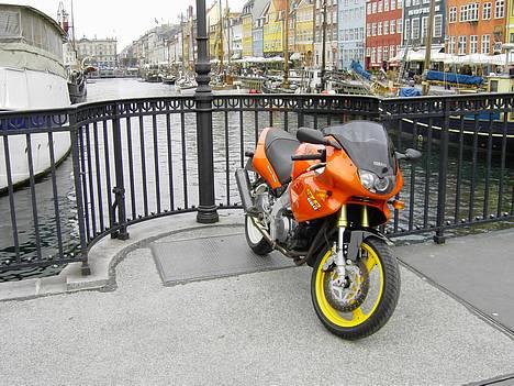 Yamaha SZR 660 BELGARDA ! SOLGT  - ! ! ! ! !  NYHAVN ! ! ! ! ! billede 6