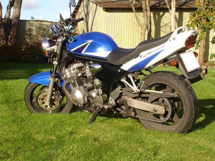 Suzuki 600 ZK4 Bandit (Snedsted) billede 2