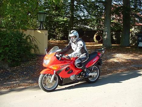 Aprilia RSV 1000 Factory billede 2