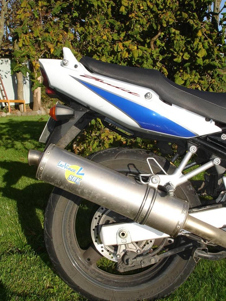 Suzuki 600 ZK4 Bandit (Snedsted) billede 5