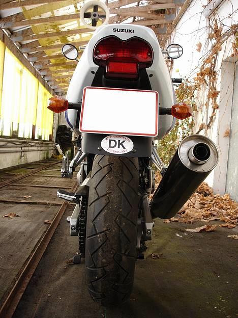 Suzuki 600 ZK4 Bandit (Snedsted) billede 6