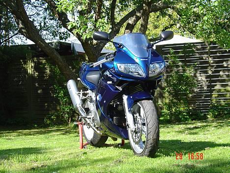 Suzuki SV 1000 S billede 13