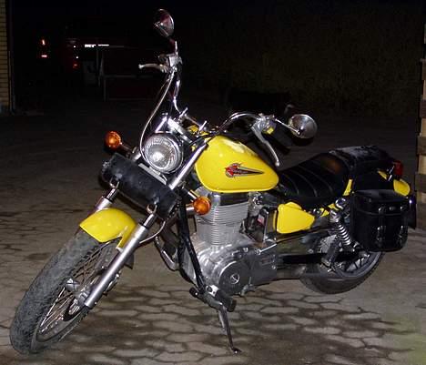 Suzuki LS 650 Savage billede 2