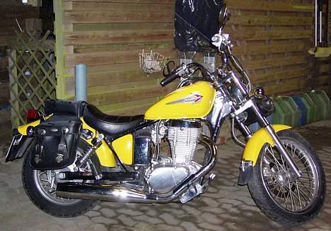 Suzuki LS 650 Savage billede 3