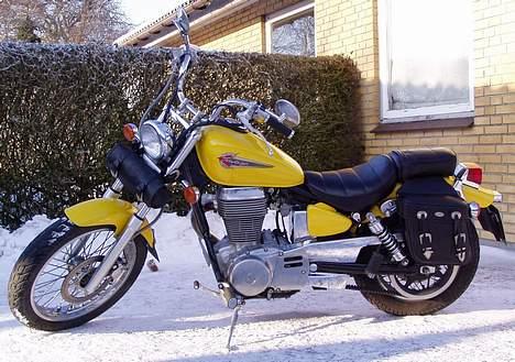 Suzuki LS 650 Savage billede 4