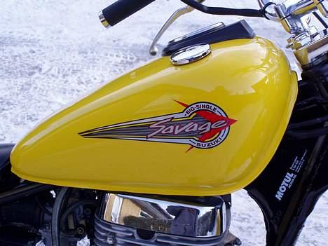 Suzuki LS 650 Savage billede 6