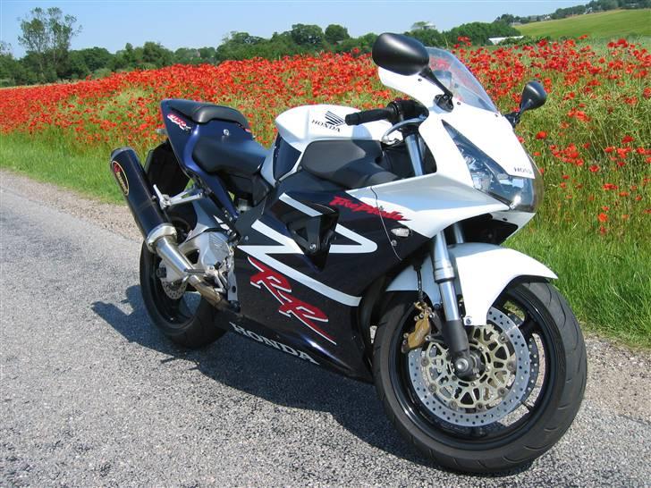 Honda CBR 900 RR FireBlade - En dejlig sommerdag - juni 2007 billede 17