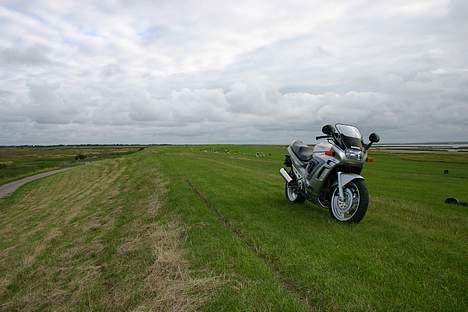 Suzuki GSX 750 F (solgt) - Skøn natur! Savner sommeren :( billede 5
