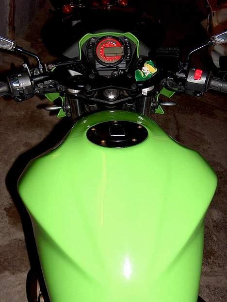 Kawasaki Z 750 ( miss z ) Solgt billede 11