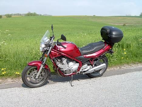 Yamaha XJ 600 N *SOLGT 08* billede 4
