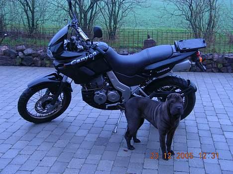 Cagiva Canyon  - Her vogter jeg... billede 15