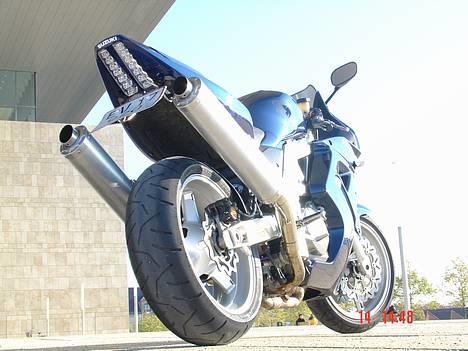 Suzuki SV 1000 S billede 15