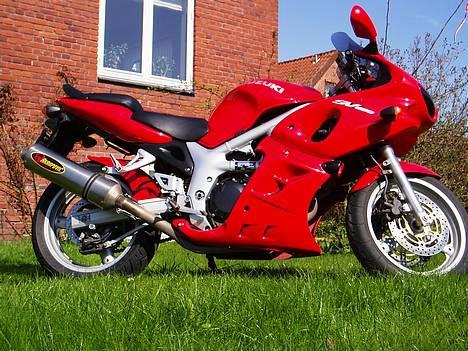 Suzuki SV 650S - SOLGT - - Forårsbillede 2006 - med touring-vindskærm billede 6