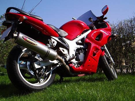 Suzuki SV 650S - SOLGT - - Forårsbillede 2006 - med touring-vindskærm billede 7