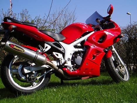 Suzuki SV 650S - SOLGT - - Forårsbillede 2006 - med touring-vindskærm billede 8