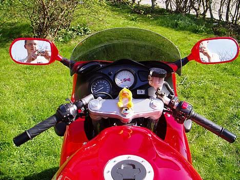 Suzuki SV 650S - SOLGT - - Cockpittet med touring-vindskærm - mean little duckling billede 9