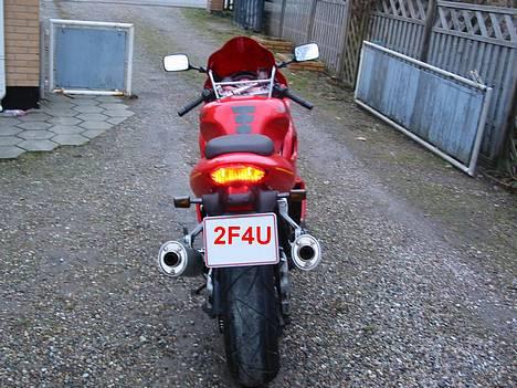 Suzuki "SOLGT" TL 1000 S - Bagpå billede 8