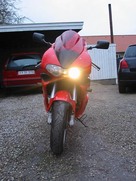 Suzuki "SOLGT" TL 1000 S - Front m lys tændt billede 12