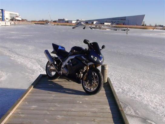 Suzuki SV 1000 S billede 1