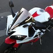 Yamaha R6 Xenon