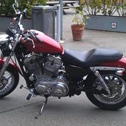 Harley Davidson XL sporster 883