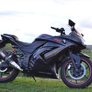 Kawasaki Ninja 250 R