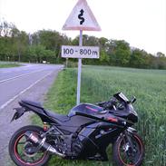 Kawasaki Ninja 250 R