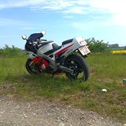 Yamaha FZR600