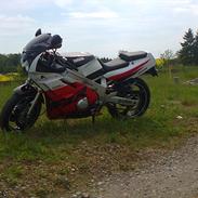Yamaha FZR600
