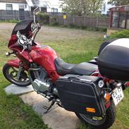 Suzuki VX800